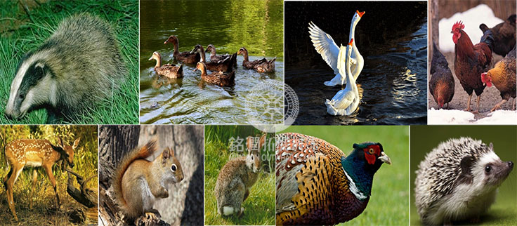 <a href='http://m.kimyattawrites.com/tzjd/hzjidi/huairoujid/' target='_blank'><u>懷柔拓展訓練</u></a>基地