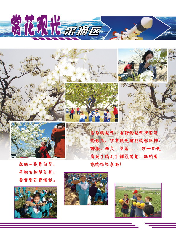 新概念梨花莊園