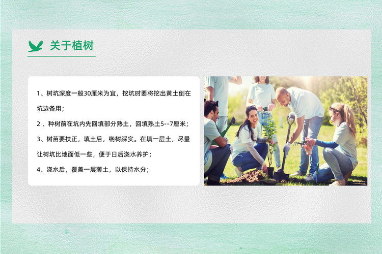 常規團建植樹活動方案7