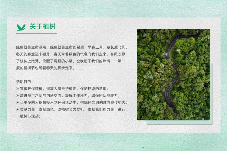 常規團建植樹活動方案3