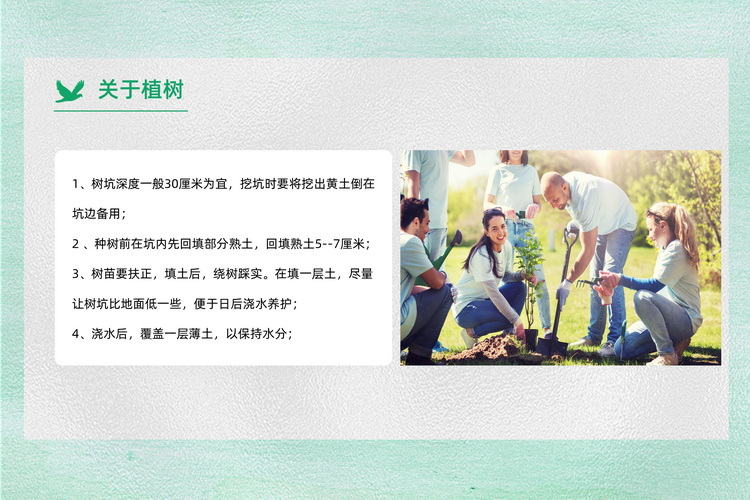 休閑采摘團建植樹活動方案4