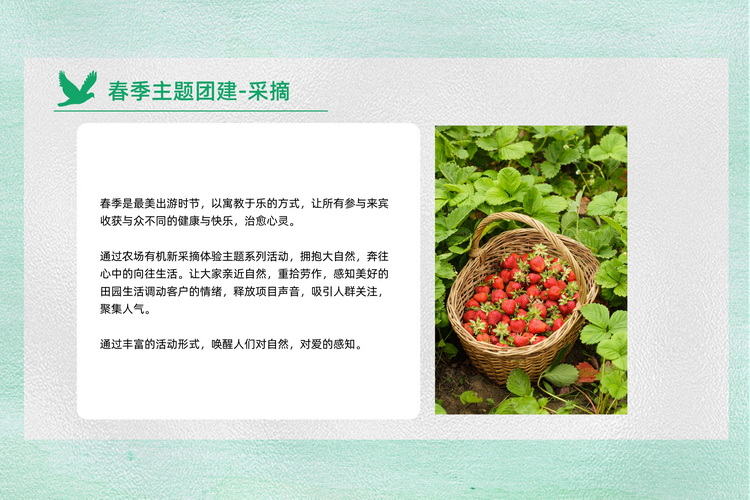 休閑采摘團建植樹活動方案5