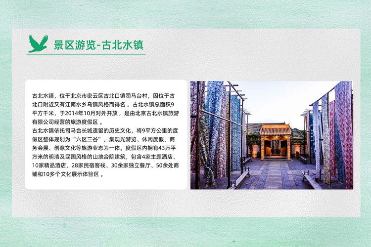 北京周邊春游團建植樹活動方案5
